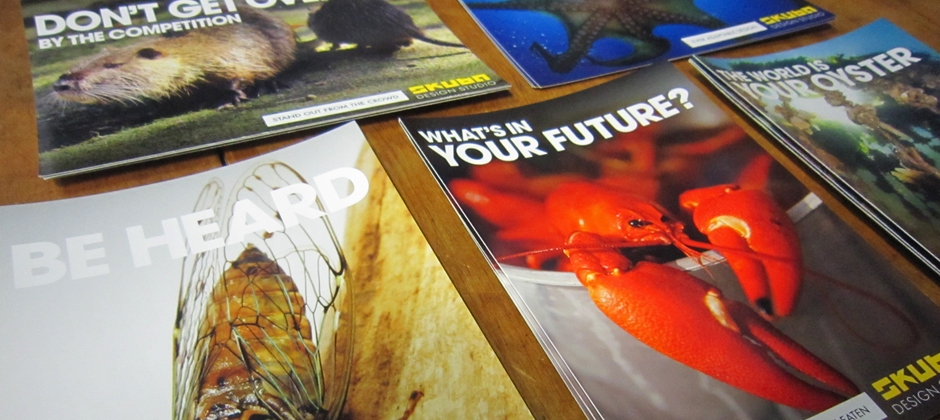 Hyper-local postcards marketing campaign featuring new orleans critters skuba design print marketing new orleans large