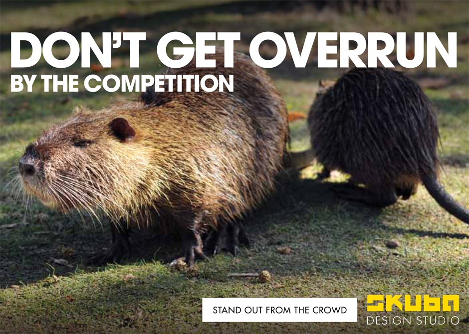Nutria postcard small business graphic design new orleans marketing campaign large