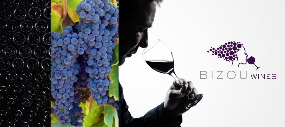 Bizou-wines-wine-bottle-grapes-man-tasting-logo  large